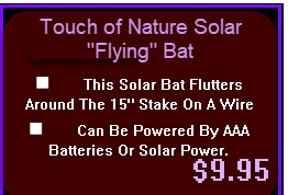 Flying Solar Bat